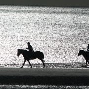 Black and white_0017.jpg